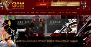 G3M – Bonus Deposit 100% Sabung Ayam Member Baru